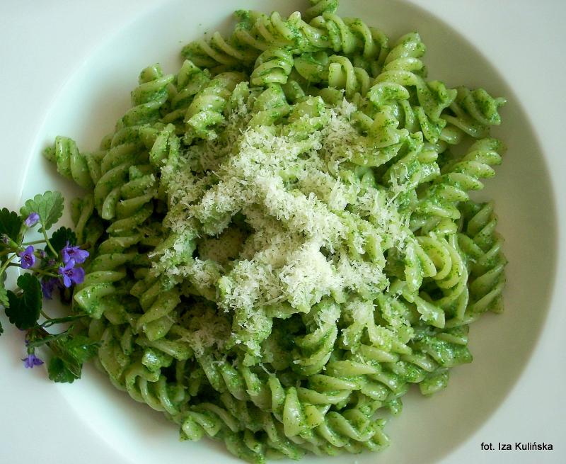 Pesto (czerwona miska)